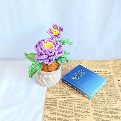 Crochet Flower Pot Gift Birthday Housewarming Home Decor Handmade Amigurumi Floral Display