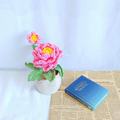 Crochet Flower Pot Gift Birthday Housewarming Home Decor Handmade Amigurumi Floral Display