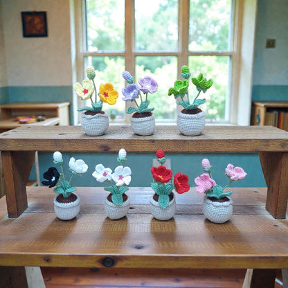 Crochet Plum Blossom, Handmade Yarn Flower Pot Decor